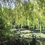 Les jardins de Claude Monet